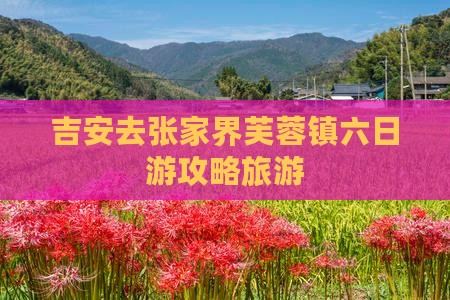 吉安去张家界芙蓉镇六日游