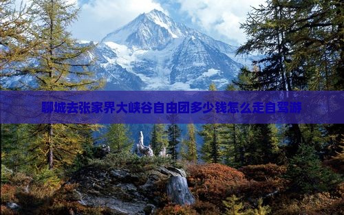 聊城去张家界大峡谷自由团