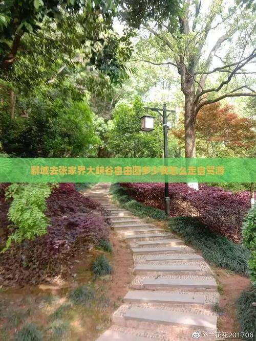 聊城去张家界大峡谷自由团