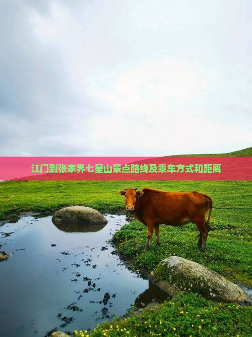 江门到张家界七星山景点