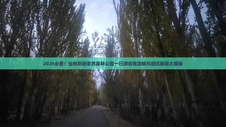 仙桃到张家界森林公园一日