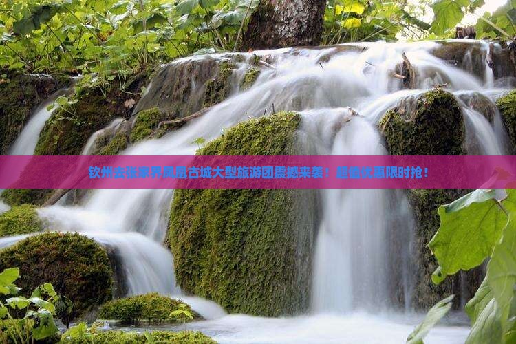 钦州去张家界凤凰古城大型旅游团