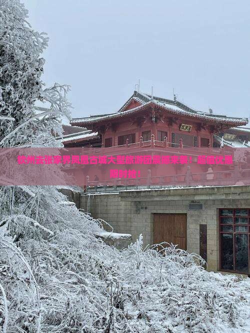 钦州去张家界凤凰古城大型旅游团