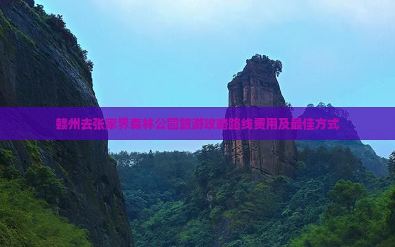 赣州去张家界森林公园旅游