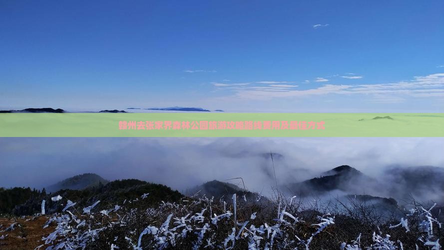 赣州去张家界森林公园旅游