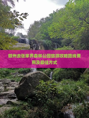 赣州去张家界森林公园旅游