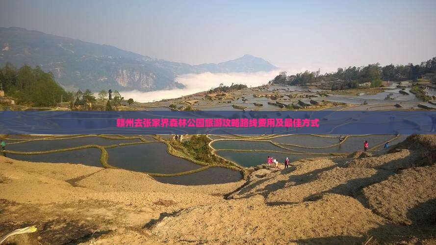 赣州去张家界森林公园旅游