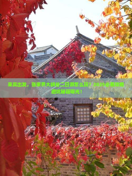 来宾到张家界大峡谷二日游
