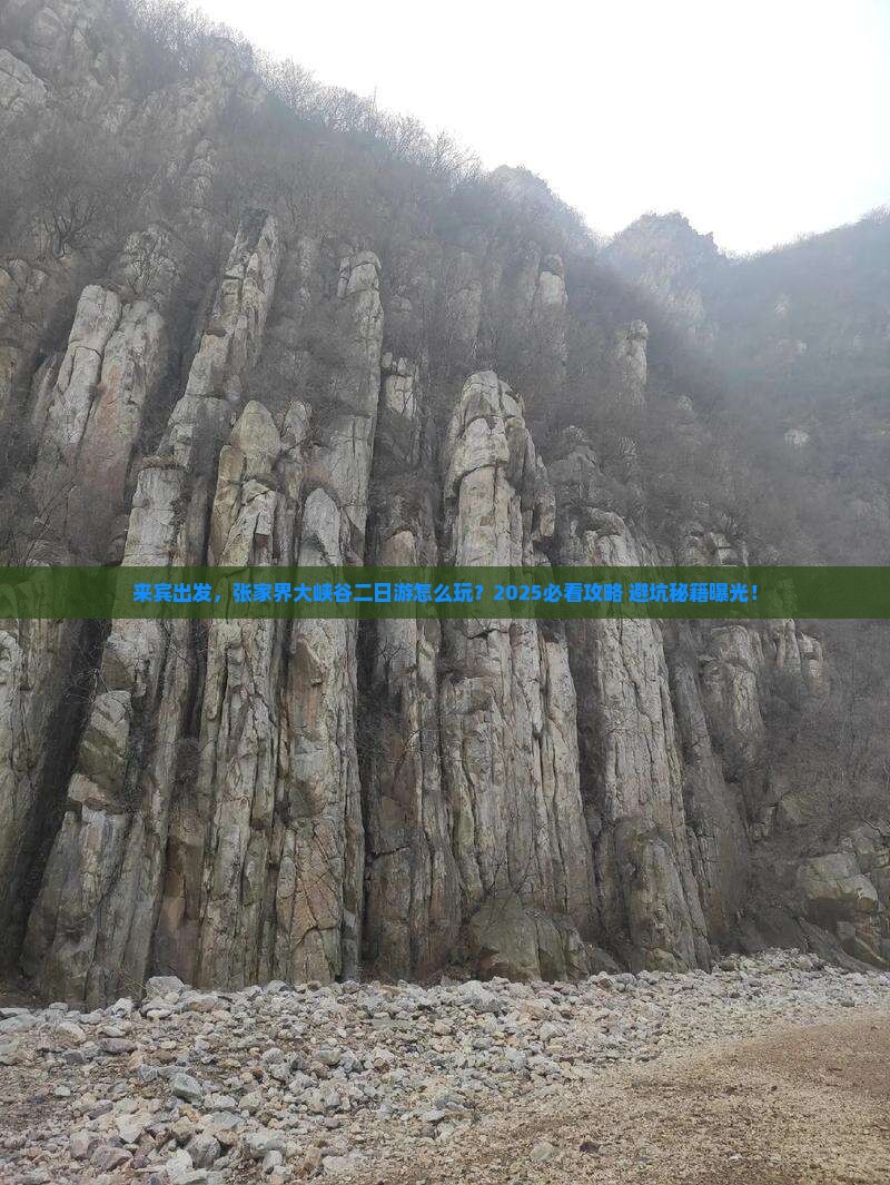 来宾到张家界大峡谷二日游
