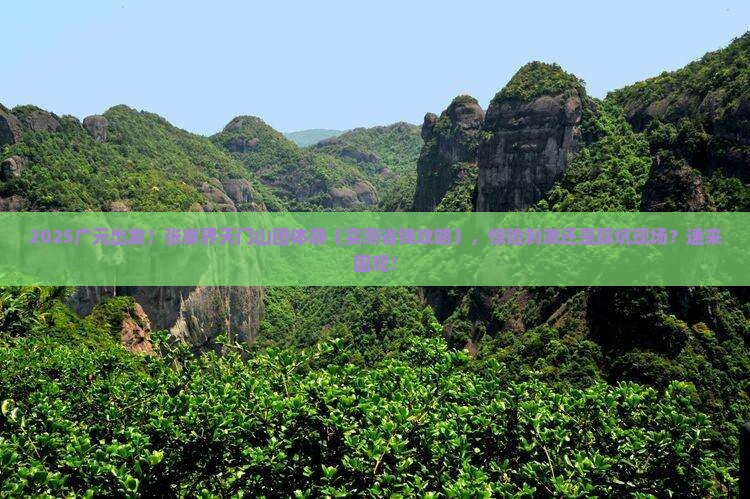 广元去张家界天门山团体旅游