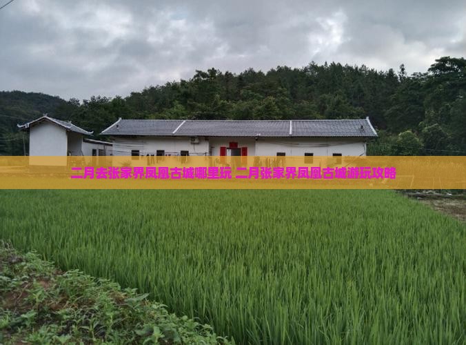 二月去张家界凤凰古城哪里玩