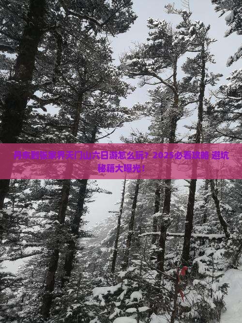 丹东到张家界天门山六日游