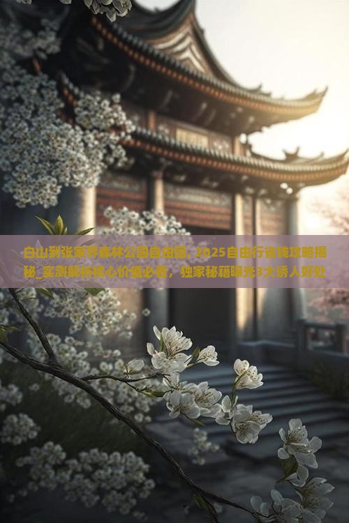 白山到张家界森林公园自由团
