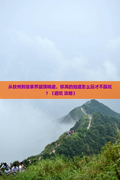 钦州到张家界玻璃栈道景点