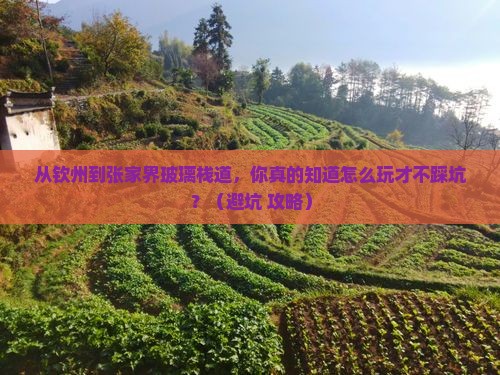 钦州到张家界玻璃栈道景点