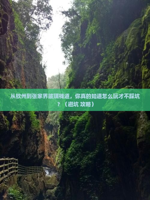 钦州到张家界玻璃栈道景点