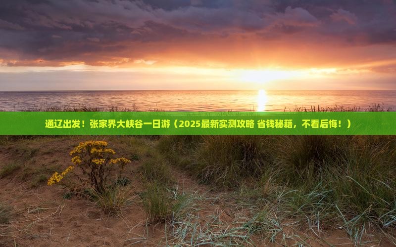 通辽市到张家界大峡谷一日