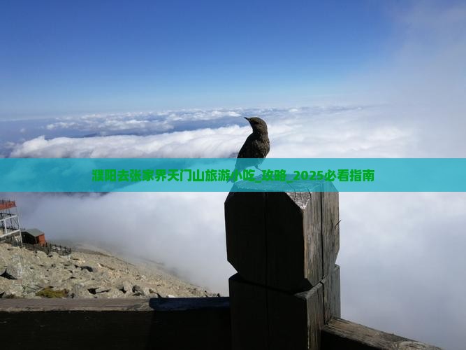 濮阳去张家界天门山旅游小吃