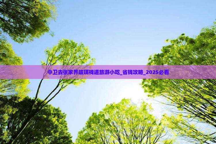 中卫去张家界玻璃栈道旅游小吃
