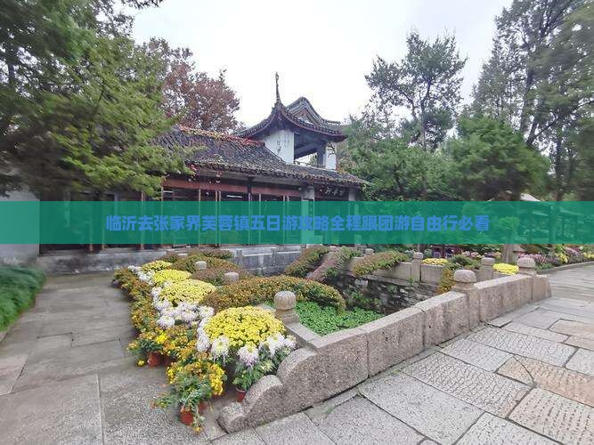 临沂去张家界芙蓉镇五日游