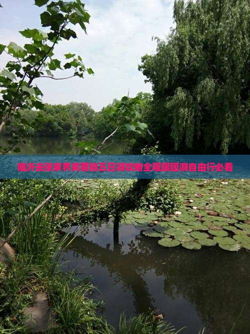 临沂去张家界芙蓉镇五日游