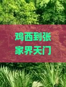 鸡西到张家界天门山旅游小吃 鸡西到张家界天门山旅游小吃