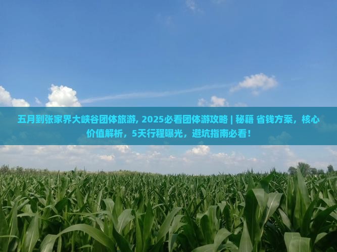 五月到张家界大峡谷团体旅游