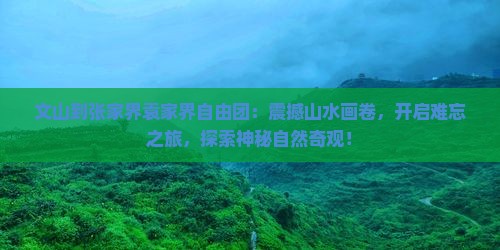 文山到张家界袁家界自由团