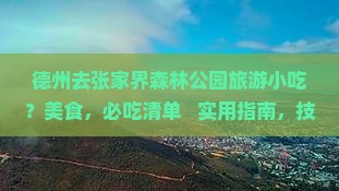 德州去张家界森林公园旅游小吃