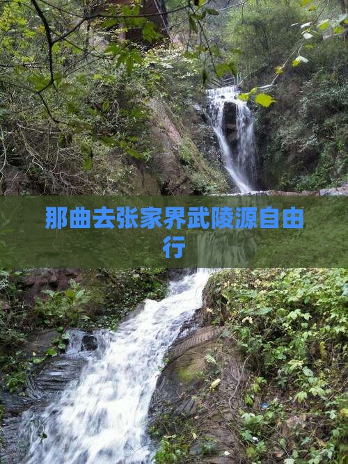 那曲去张家界武陵源自由行