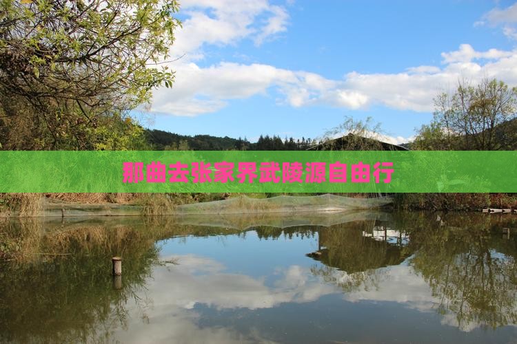 那曲去张家界武陵源自由行