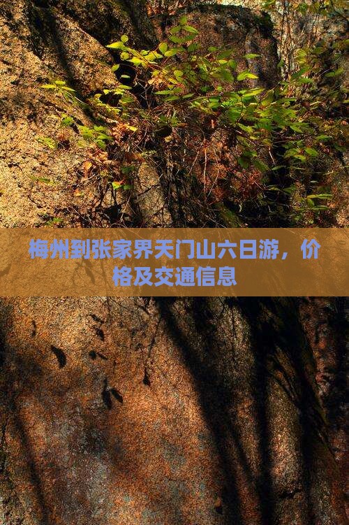 梅州到张家界天门山六日游