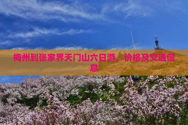 梅州到张家界天门山六日游