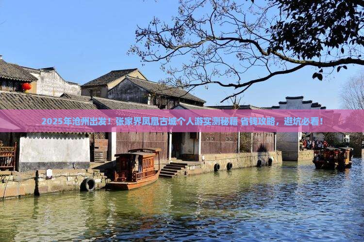 沧州去张家界凤凰古城个人游