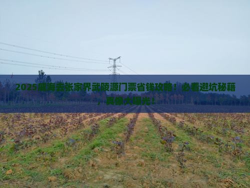 威海到张家界武陵源门票 威海到张家界武陵源门票