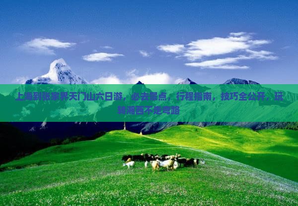 上海到张家界天门山六日游