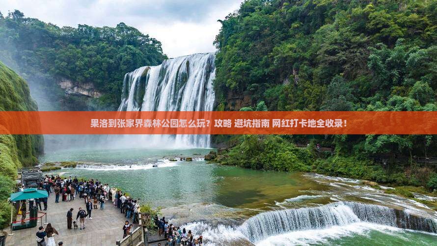 果洛到张家界森林公园哪里玩