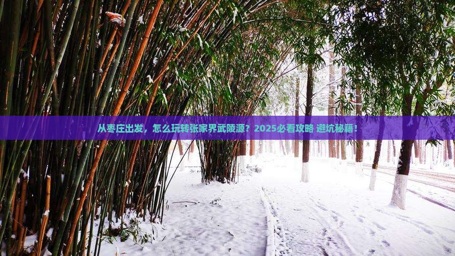 枣庄去张家界武陵源景点