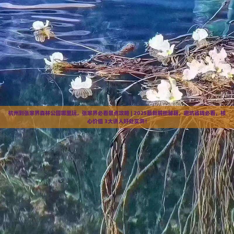 杭州到张家界森林公园哪里玩
