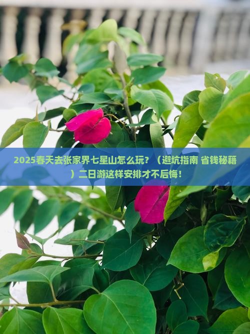 春天到张家界七星山二日游