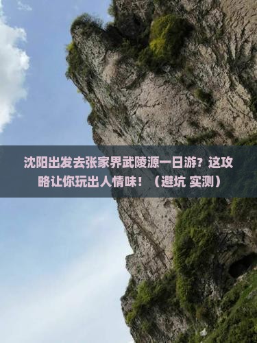 沈阳去张家界武陵源一日
