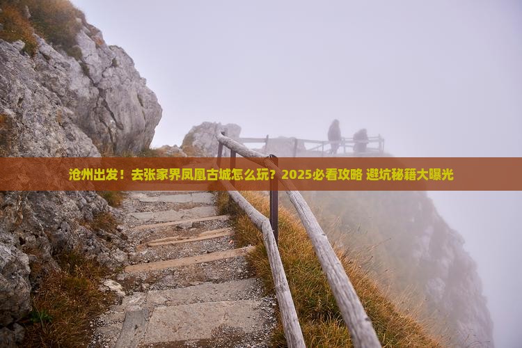 沧州去张家界凤凰古城旅游