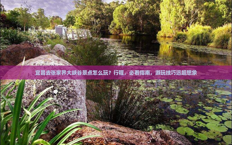 宜昌去张家界大峡谷景点