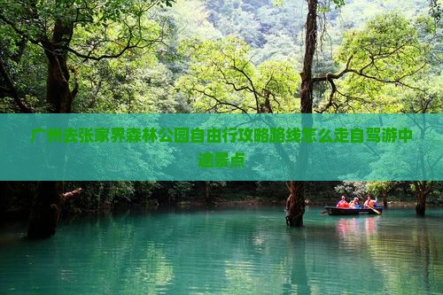 广州去张家界森林公园自由行