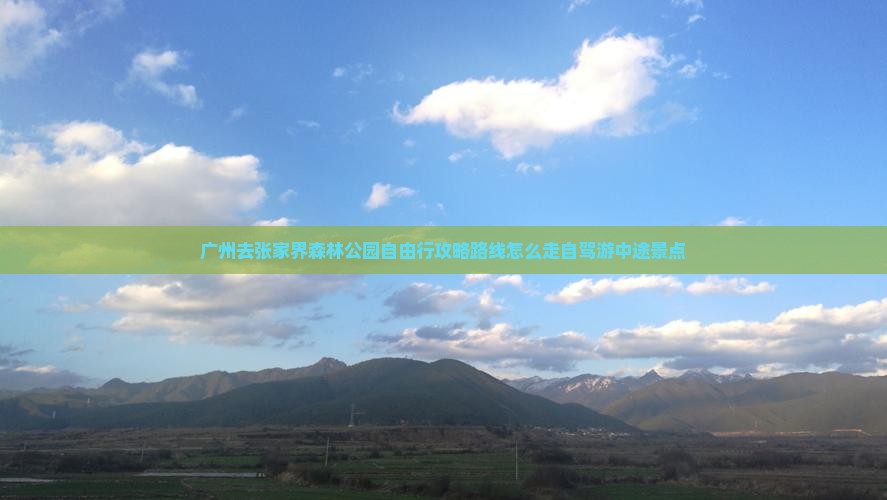 广州去张家界森林公园自由行