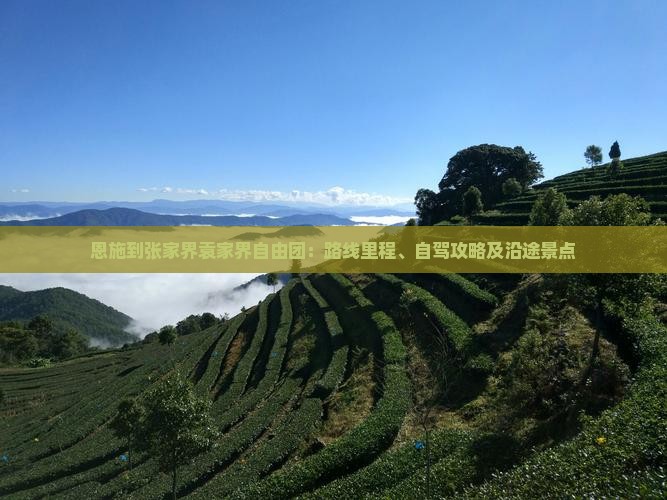 恩施到张家界袁家界自由团