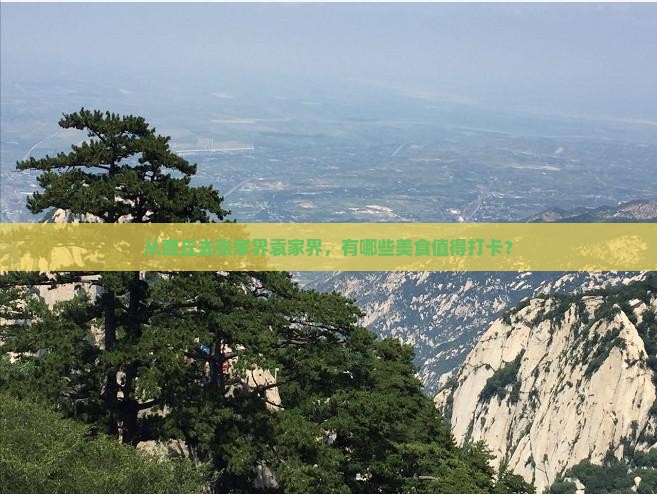 商丘到张家界袁家界旅游小吃