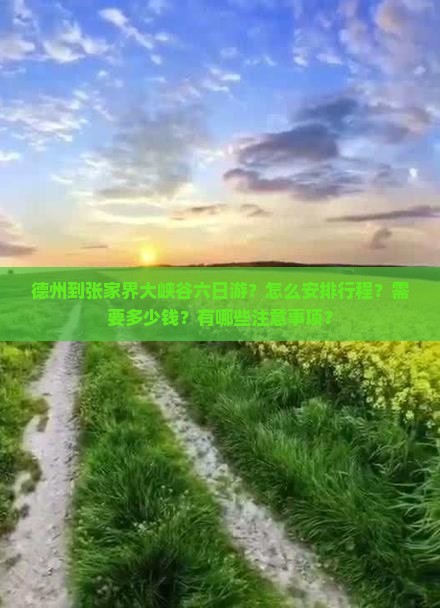 德州到张家界大峡谷六日游
