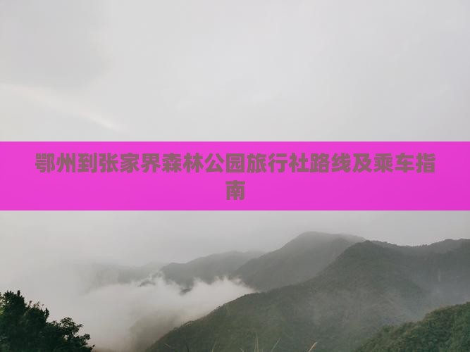 鄂州到张家界森林公园旅行社