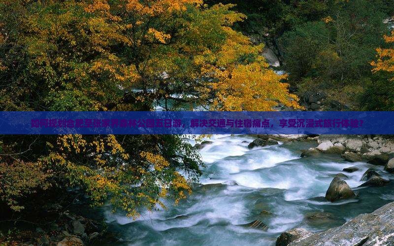合肥去张家界森林公园五日游